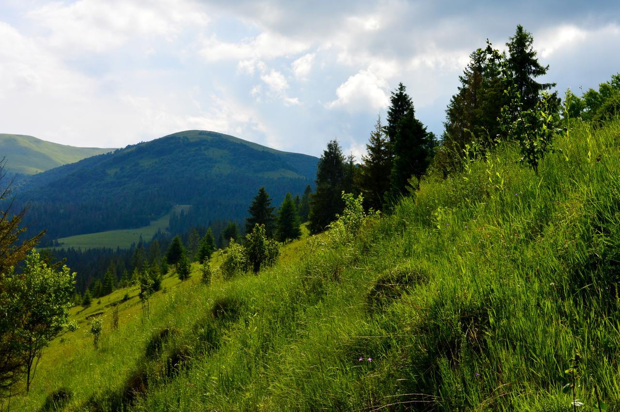 Villa Zatishok Bilya Richky Pilipets Esterno foto