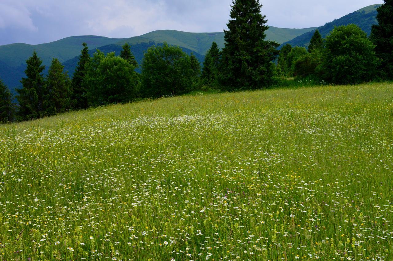 Villa Zatishok Bilya Richky Pilipets Esterno foto