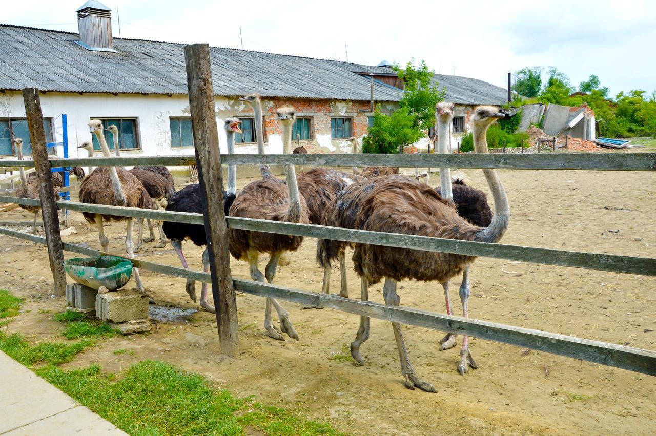 Villa Zatishok Bilya Richky Pilipets Esterno foto